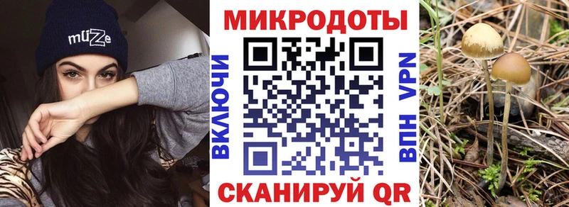 Псилоцибиновые грибы Magic Shrooms  Вяземский 